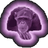 PurpleMonkey wants your soul