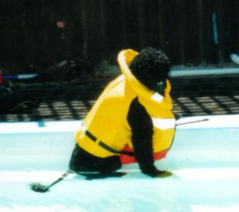 Dog in life vest