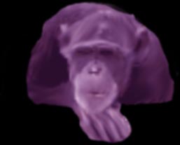 purple toy monkey